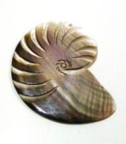 Pendant Black Lip Flat Nautilus-60mm