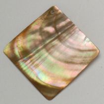 Brownlip Square 45mm