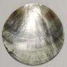 Blacklip round 65mm without hole(undrill)