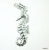 Sterling Silver Charm W/Split Ring(Bright Finish)-Seahorse -18x 6.5mm