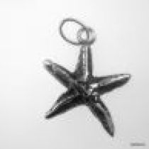 Sterling Silver Charm W/OPEN RING-Star Fish 15x12.8MM 