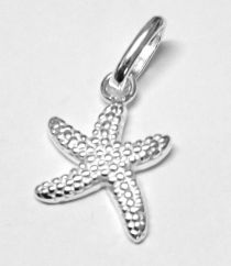 Sterling Silver Starfish (12.7mm)Charm W/jumpring