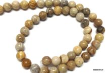 Fossil Coral Round -4mm- 40 cms. Strand