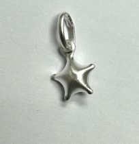 Sterling Silver Charm Star 10mm w/Jumpring- Frosted Finish
